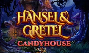 Hansel And Gretel Candyhouse