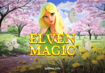 Elven Magic - TP8